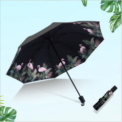 Зонтик Нар борооны шүхэр Борооны зонтик Umbrella 3