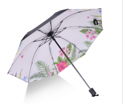 Зонтик Нар борооны шүхэр Борооны зонтик Umbrella