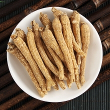 Америк хүн орхоодой  Хүн орхоодой Ginseng